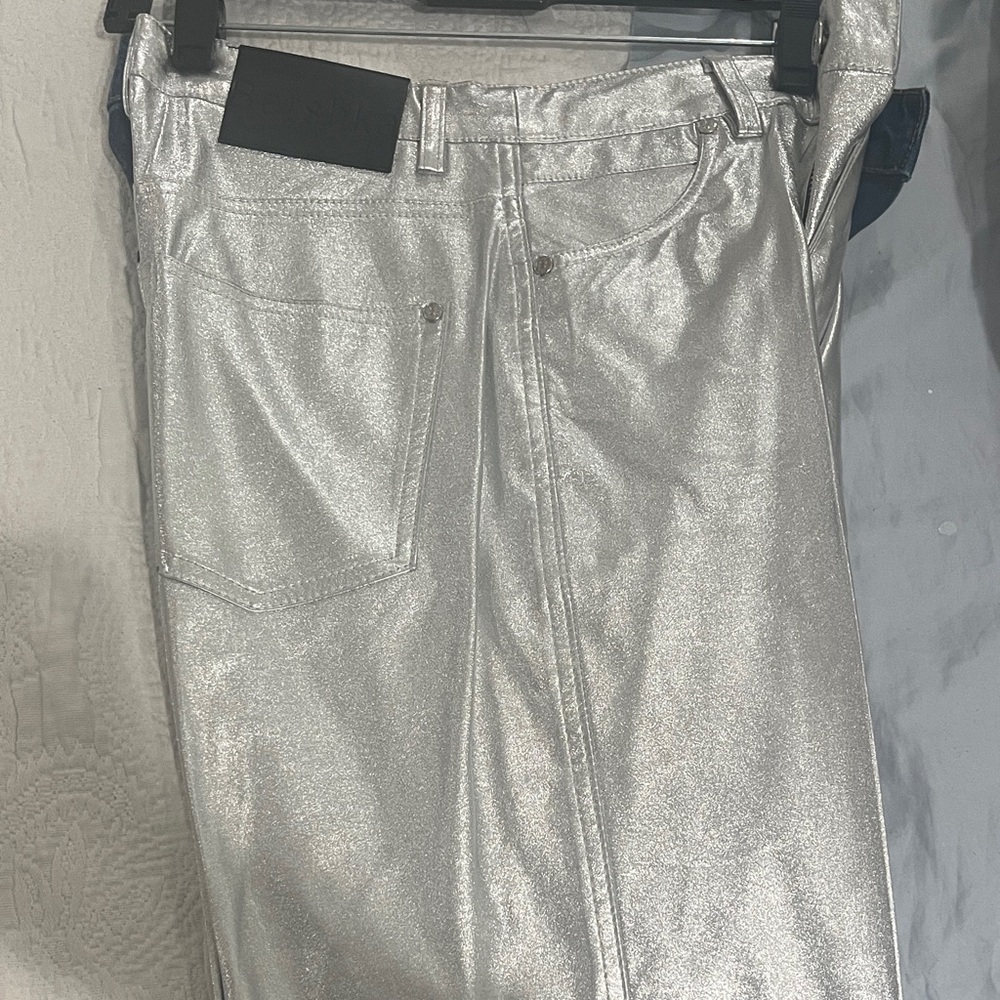 Shiny Silver Pants